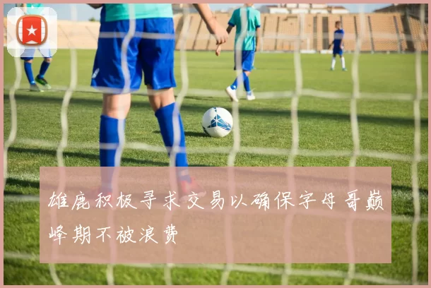 雄鹿积极寻求交易以确保字母哥巅峰期不被浪费