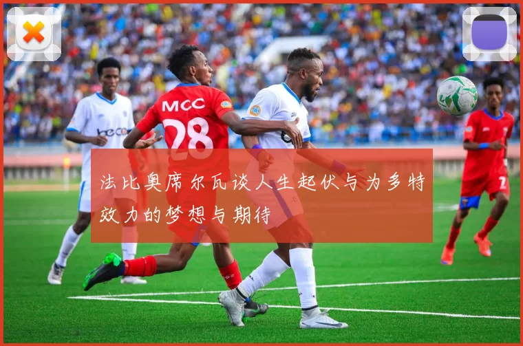 法比奥席尔瓦谈人生起伏与为多特效力的梦想与期待